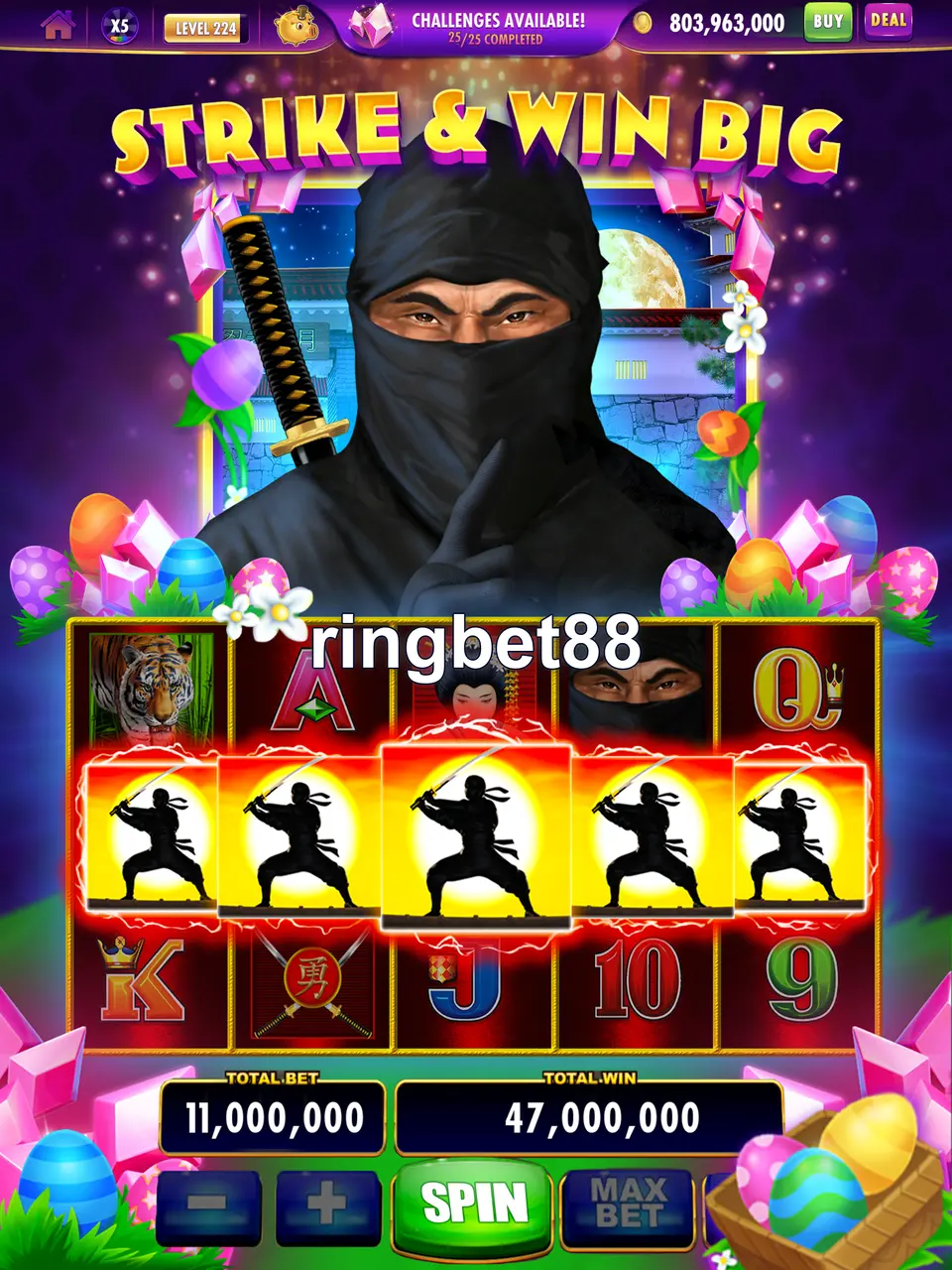 ringbet88 Masuk